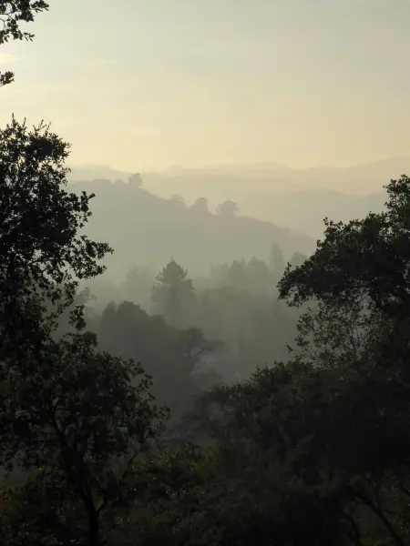 San Anselmo